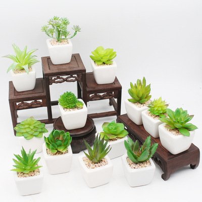 Home Indoor Decorative Mini Plastic Artificial Succulent Pot Plants Garden Decor Succulents 3