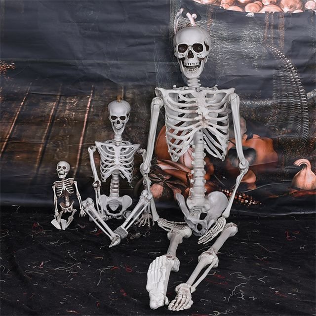 S6ft Pose Skeleton Prop Realistic Life Size Halloween Skeleton Hanging Spooky Skeletons for Halloween Party